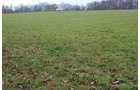 Property photo 46 - 80 Acres & Home - Property Offered in 4 Tracts from 2.3 to 30.0 Acres